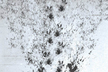 Akivaizdu, kad „Kniedytos mintys“ parašytos ne iš vidinės autoriaus kūrybinės būtinybės, o tiesiog galvojant apie knygos vartotojus.