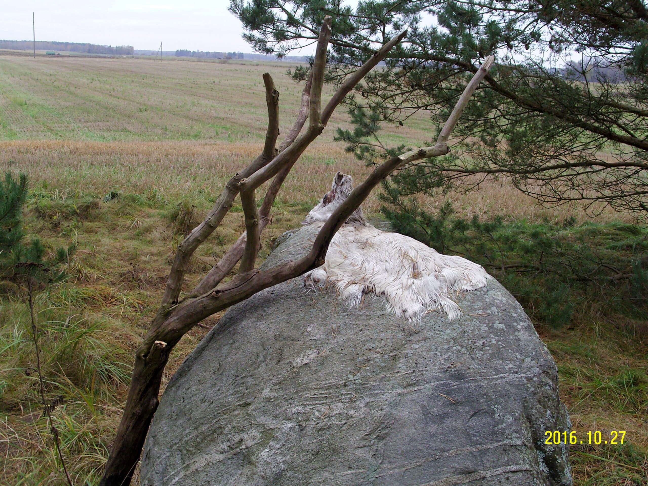 SAMSUNG DIGITAL CAMERA