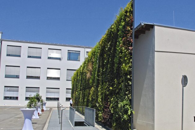 Fronius ofisas, Welsas, Austrija. Užbaigta 2010 m. Architektas Heinz Ploderl. Vertikaliojo sodo variantas, kai karkasas suformuotas atskirai nuo sienos. Akivaizdu, kad želdyno sluoksnis plonas ir lengvas, taigi konstrukcija pakankamai tvirta ir stabili.