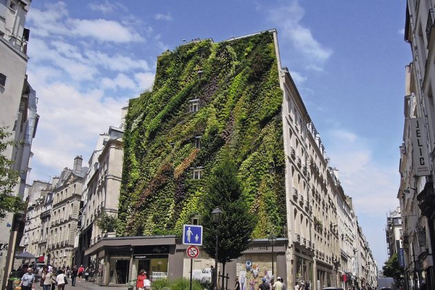 L'oasis D'aboukir, Paryžius. Užbaigta 2013 m. Iliustracijose - vertikaliojo sodo kūrimo ir brandos etapai nuo projektinio eskizo iki sodria žaluma užpildyto fasado. 