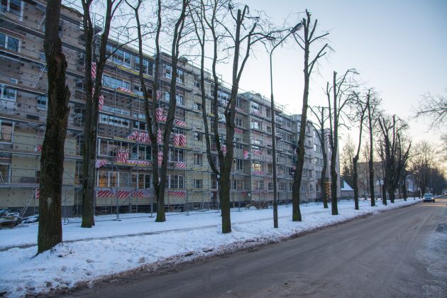 Ne vienoje miesto vietoje žmones gąsdina ir piktina be viršūnių palikti medžiai, kurie vėliau, specialistų tvirtinimu, virs tiksinčiomis bombomis.