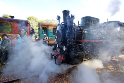 Panevėžio miesto ir rajono savivaldybės siekia tapti Aukštaitijos siaurojo geležinkelio dalininkėmis, investicijomis į turizmui skirtą transportą domisi ir britų investuotojai.