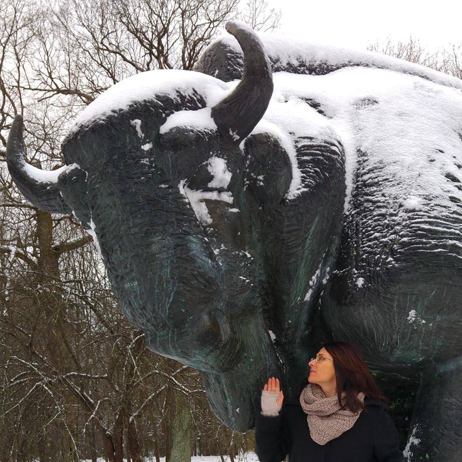  „Lietuvos stumbrų“ atstovės S. Čaplikaitės teigimu, geriausia būtų stumbrus išvilioti iš dabar gyvenamos teritorijos sukuriant nuolatinės migracijos koridorių.