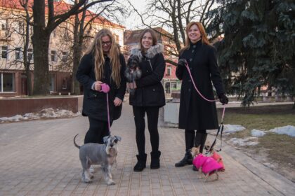 Vis daugiau jaunų žmonių savo laisvalaikį ir žinias skiria savanorystės patirčiai. Daugelis savanorių pripažįsta, kad tai puiki pilietiškumo ugdymo mokykla.