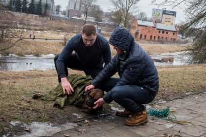 Savaitgalį plačiai nuskambėjusi upėje skendusio ketverių metų keturkojo Predžio gelbėjimo istorija sujaudino ne vieną.