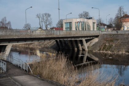 Šuns atsikratė upėje
