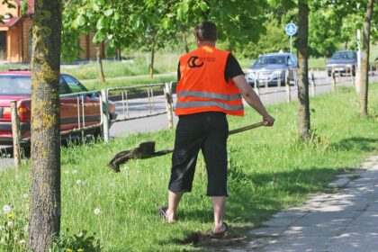 Panevėžio rajono Miežiškių seniūnui Albinui Jacevičiui artėjant vasarai gresia kabinetą iškeisti į pagriovį, o vietoj rašiklio paimti dalgį. Seniūnas sako, kad tai visai realu, jei bedarbiai nebebus siunčiami dirbti viešųjų darbų.