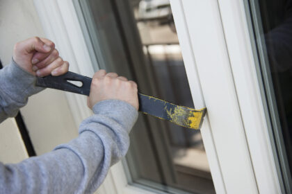 Pastarosiomis dienomis suaktyvėjusių vagių grobis itin įvairus. Iš sodų tempiami šiltnamiai, iš miškų – medžiai, iš kiemų – automobiliai.