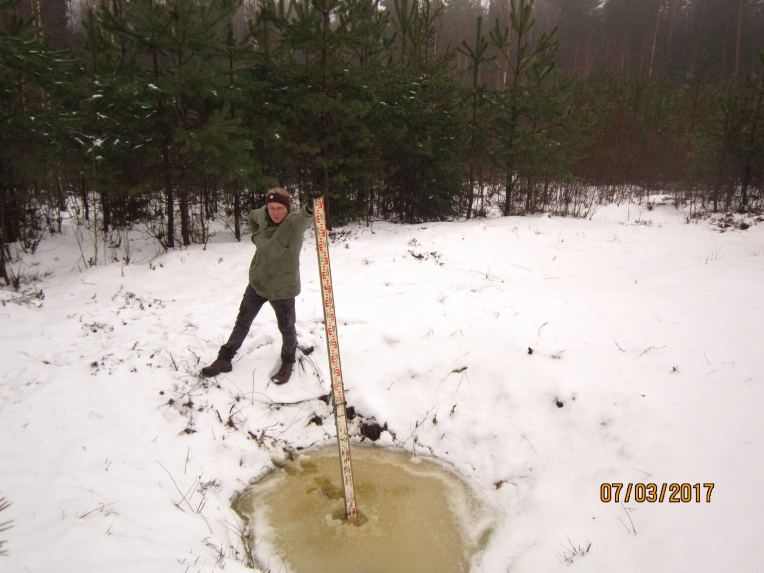 Lietuvos geologijos tarnyba (LGT) pastebėjo naujų įgriuvų Panevėžio rajone netoli Bernatonių kaimo, Jutiškio miško kirtavietėje.
