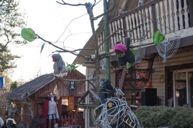  Visas A. Šukio kiemas papuoštas keistomis jo kurtomis skulptūromis. Šeimininkui tai yra menas.