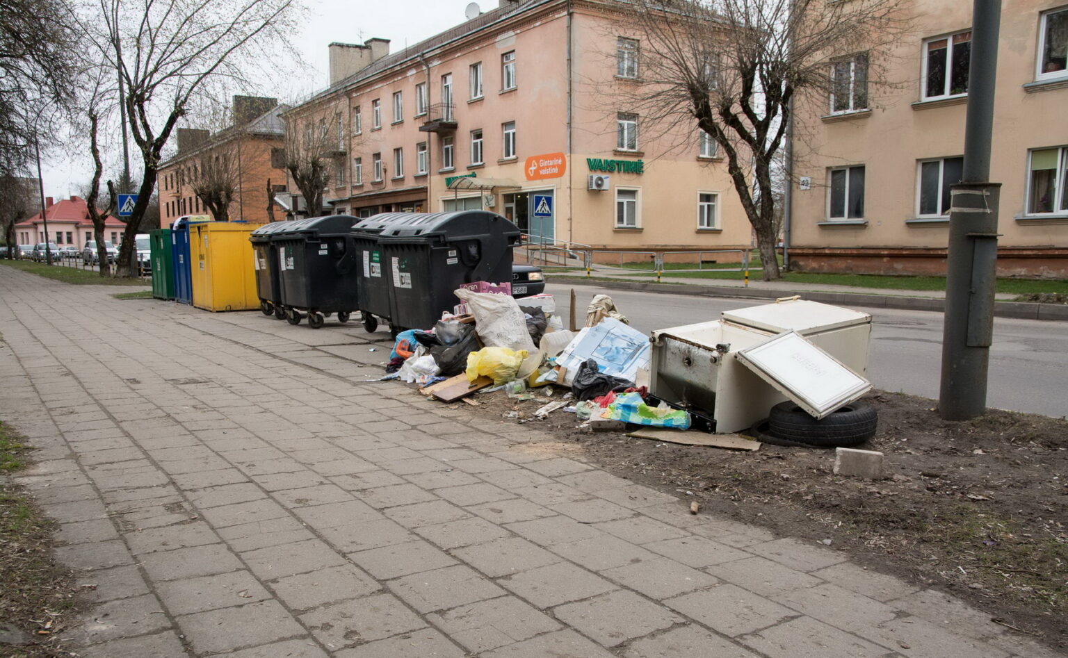 Įprastą Panevėžyje vaizdą, kai prie šiukšlių konteinerių stūkso kalnai suverstų senų rakandų, lapų ir net maisto atliekų, Savivaldybė tikisi suvaldyti mieste pertvarkydama visą atliekų surinkimo schemą.