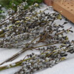 Verbų sekmadienis Panevėžyje. M. BLINSTRUBYTĖS nuotr.