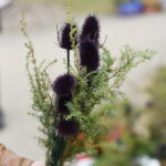 Verbų sekmadienis Panevėžyje. M. BLINSTRUBYTĖS nuotr.