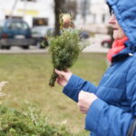 Verbų sekmadienis Panevėžyje. M. BLINSTRUBYTĖS nuotr.