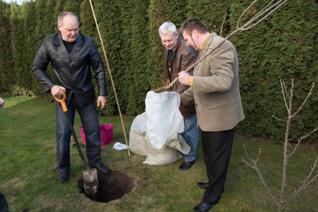 aiko ir mamos namų pirmojo gimtadienio proga kieme pasodinta slyva. Ja, kaip ir visa aplinka, rūpinsis nuteistosios. T.Šiaudinio nuotr.