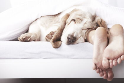 Teigiama, kad miegoti dieną sveika ne tik vaikams.