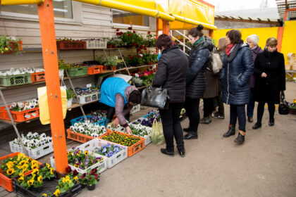 Artėjanti Motinos diena savaitgalį turguje pagyvino prekybą. Nors akys raibo nuo gėlių įvairovės, daugumą pirkėjų domino tik įvairiaspalvės našlaitės.