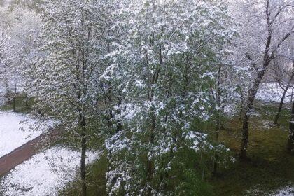Klimatologai tvirtina, kad kone vasaros išvakarėse nagus parodžiusi žiema nėra naujas reiškinys Lietuvoje, tokių atvejų per keturis dešimtmečius būta kelių.