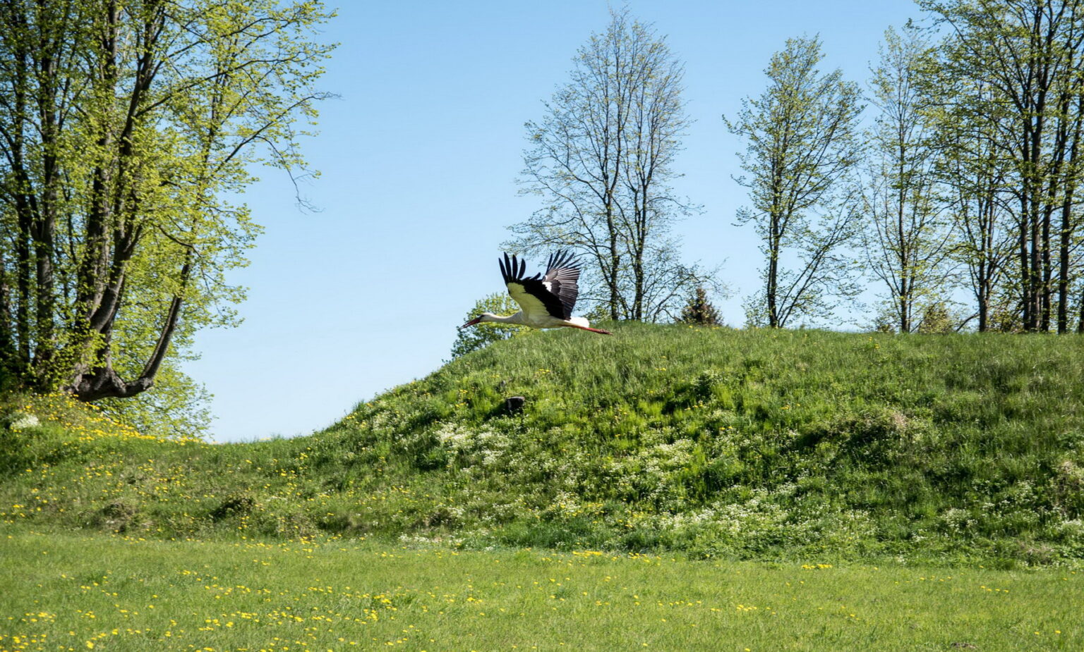 Tarp trisdešimties pačių įspūdingiausių Lietuvos piliakalnių – ir Krekenavos regioninio parko puošmena Bakainiai.