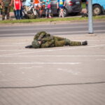 Kariuomenės ir visuomenės vienybės diena. T. ŠIAUDINIO nuotraukos