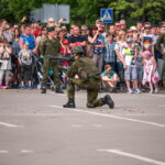 Kariuomenės ir visuomenės vienybės diena. T. ŠIAUDINIO nuotraukos