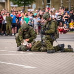 Kariuomenės ir visuomenės vienybės diena. T. ŠIAUDINIO nuotraukos