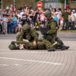 Kariuomenės ir visuomenės vienybės diena. T. ŠIAUDINIO nuotraukos