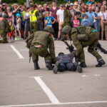 Kariuomenės ir visuomenės vienybės diena. T. ŠIAUDINIO nuotraukos