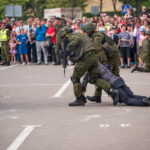 Kariuomenės ir visuomenės vienybės diena. T. ŠIAUDINIO nuotraukos