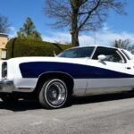 „Mes važiuojame 2017“ Pasvalyje. M. BLINSTRUBYTĖS nuotr.