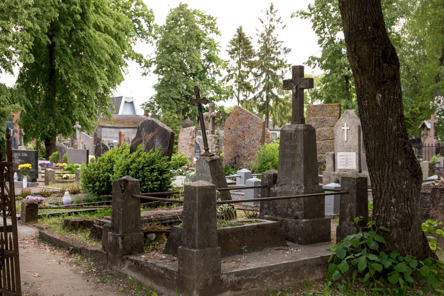 Aplinkos ministerijai pakeitus Kapinių tvarkymo taisykles, kapviečių pripažinimas neprižiūrimomis ir teisės jas prižiūrėti suteikimas aiškiau reglamentuotas