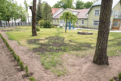 Bažnyčios pašonėje nukirstos tujos užraukė baudą