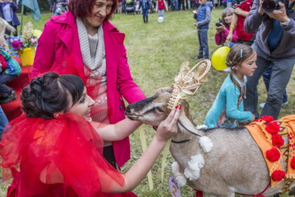 Ramygaliečiams viena didžiausių švenčių – 647-asis miesto gimtadienis, – šiemet netapo ne tik su Joninėmis ir mieste vykusia Teatrų diena. Šeštadienį visi buvo kviečiami į grožio ir raguoto stiliaus konkursą, kuriame rinkta dailiausia, talentingiausia bei, žinoma, stilingiausia ožka.