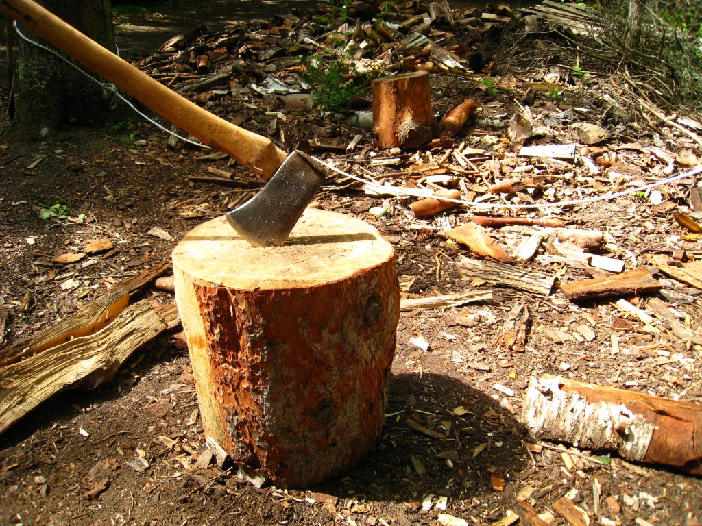 Rokiškio rajone neblaivus vyras kirviu sužalojo du žmones.