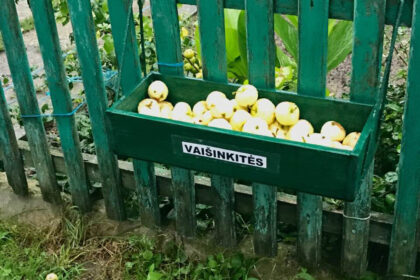 Vaišingi panevėžiečiai rudens gėrybėmis dalijasi su praeiviais