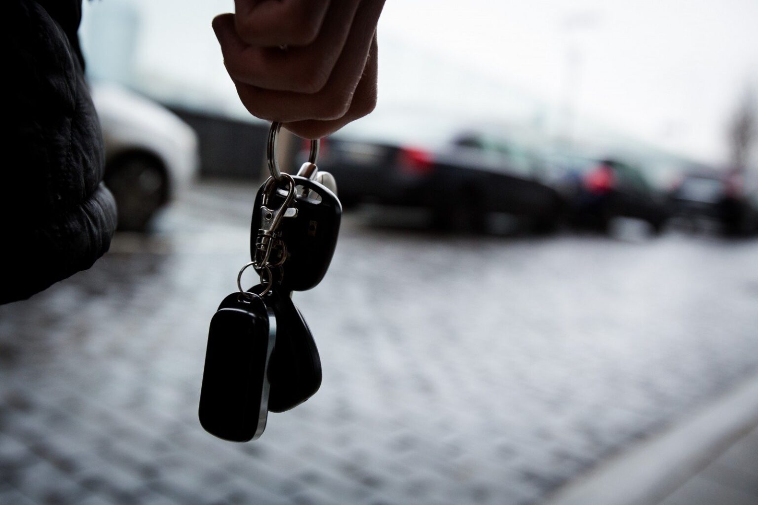 Panevėžio krašte siaučia automobilių vagys