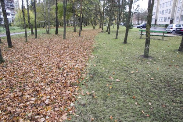 Savo teritoriją daugiabučių namų bendrijos paprastai rūpestingai susitvarko pačios. V. Bulaičio nuotr.