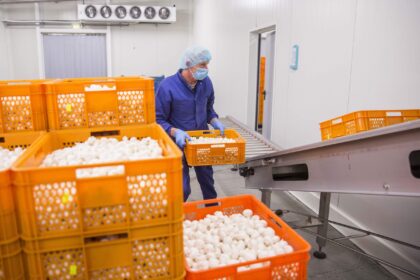 Verslas Lietuvoje galėtų augti kur kas sparčiau, jei pakaktų darbuotojų, pirmadienį pristatytoje apžvalgoje pastebi agentūra „Versli Lietuva“.