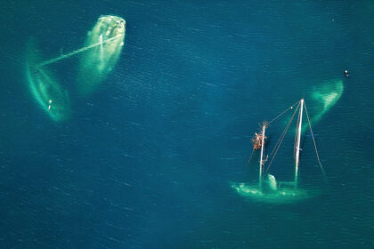 Stichinių nelaimių sukeliami ekonominiai nuostoliai vis didesni, o žmogiškasis kapitalas išlieka viena pagrindinių valstybių atsigavimo sąlygų