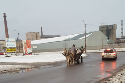 Socialinio tinklo žvaigžde dieną tapęs vadeliotojas, per Panevėžį vežęs metalo laužą, vakare, dar nespėjęs sugrįžti namo, buvo nubaustas policijos pareigūnų.