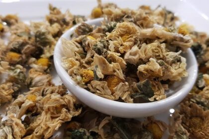 Mūsų liaudies medicina chrizantemų gydyti nevartoja arba vartoja labai retai, tačiau Rytuose tai gan žinomas gydomasis augalas.