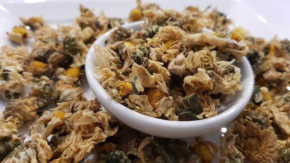 Mūsų liaudies medicina chrizantemų gydyti nevartoja arba vartoja labai retai, tačiau Rytuose tai gan žinomas gydomasis augalas.