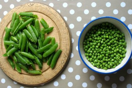 Žalieji žirneliai – ne tik vaikų mėgiama daržovė. Nuo seno ji vertinama ne vien dėl savo puikių skoninių savybių, bet ir maistingumo.