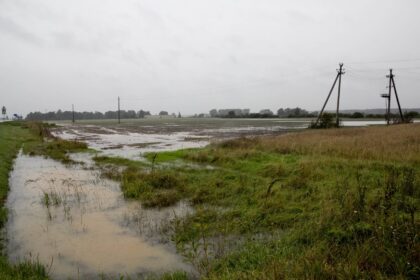 Prasidėjus naujiems metams, ūkininkai rengiasi ateinančiam sezonui, tačiau jau dabar aišku, kad metai nebus lengvi. Tam įtakos turės dar pernykštės liūtys.
