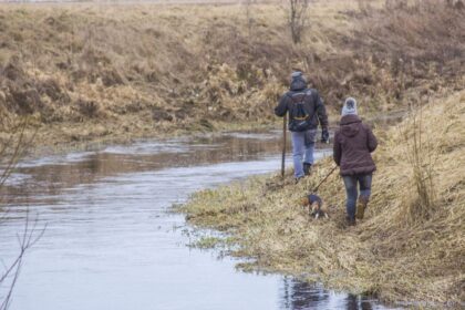 Trečiadienio popietę iš savo namų kiemo Kunciagalio kaime dingusio dar nė dviejų metukų neturinčio mažylio paieška intensyviai tęsiama ir sekmadienį.