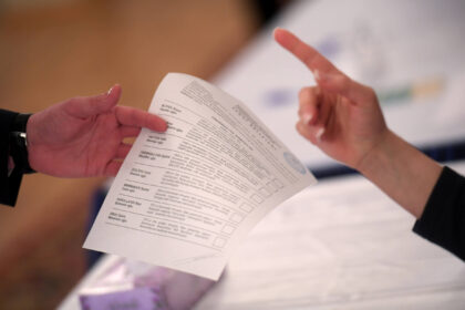 Vyriausybė teikia Seimui pataisas, kurios leistų užsieniečiams Lietuvoje steigti partijas, palengvintų sąlygas tapti jų nariais.