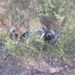 V. BULAIČIO nuotraukos