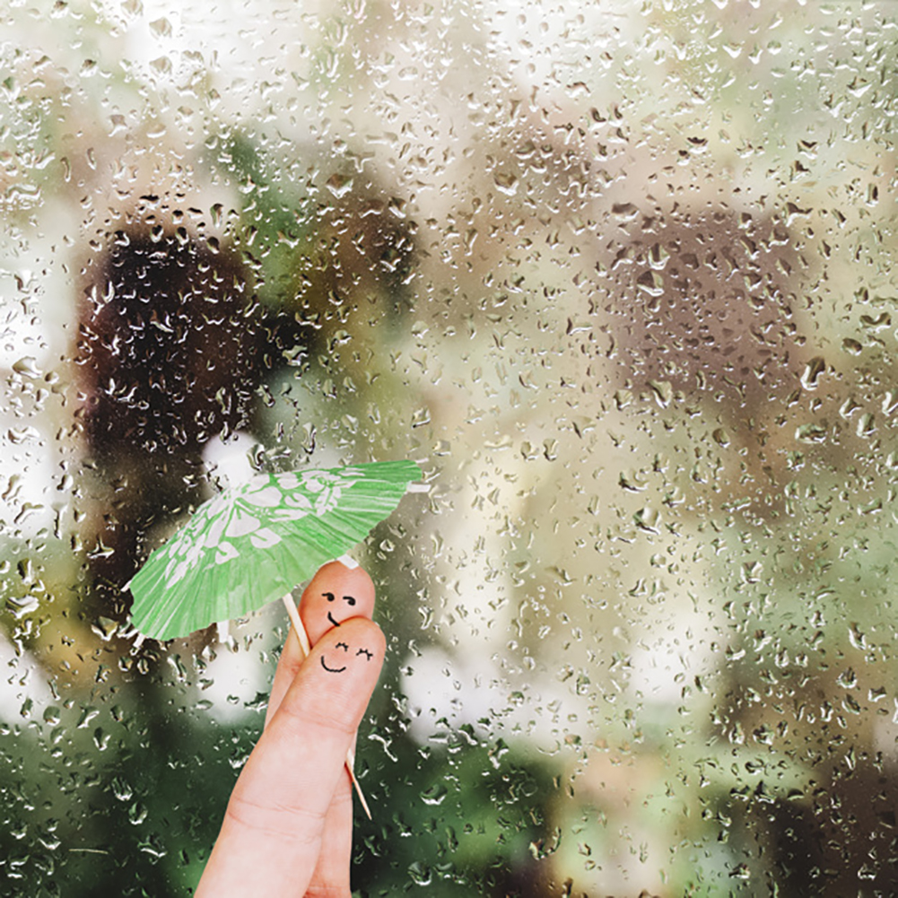 Sekančią savaitę pavasaris atsuks mums savo šlapiąją pusę. Į rytus atsitraukianti aukšto slėgio sritis pirmadienio rytą padovanos šalnas, o jau vakare Lietuvą pasieks ciklonas iš vakarų.