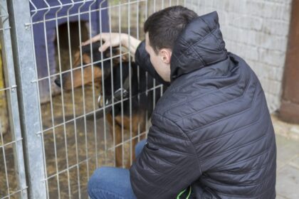 Minėdama Šuns dieną, Panevėžio gyvūnų globos draugija atvėrė duris visiems keturkojų mylėtojams. Čia važiavo patys įvairiausi lankytojai – kas su dovanomis, kas su savo augintiniais, kas turėdami minčių savanoriauti.