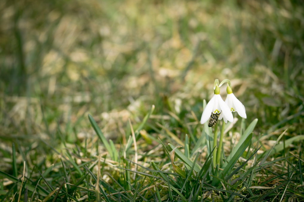 Penktadienį malonius orus išstūmusi vėsa ir gūsingas vėjas šiandien pasimirš. Šeštadienį pagaliau sulaukėme ir daugiau saulės, ir aukštesnių temperatūrų.